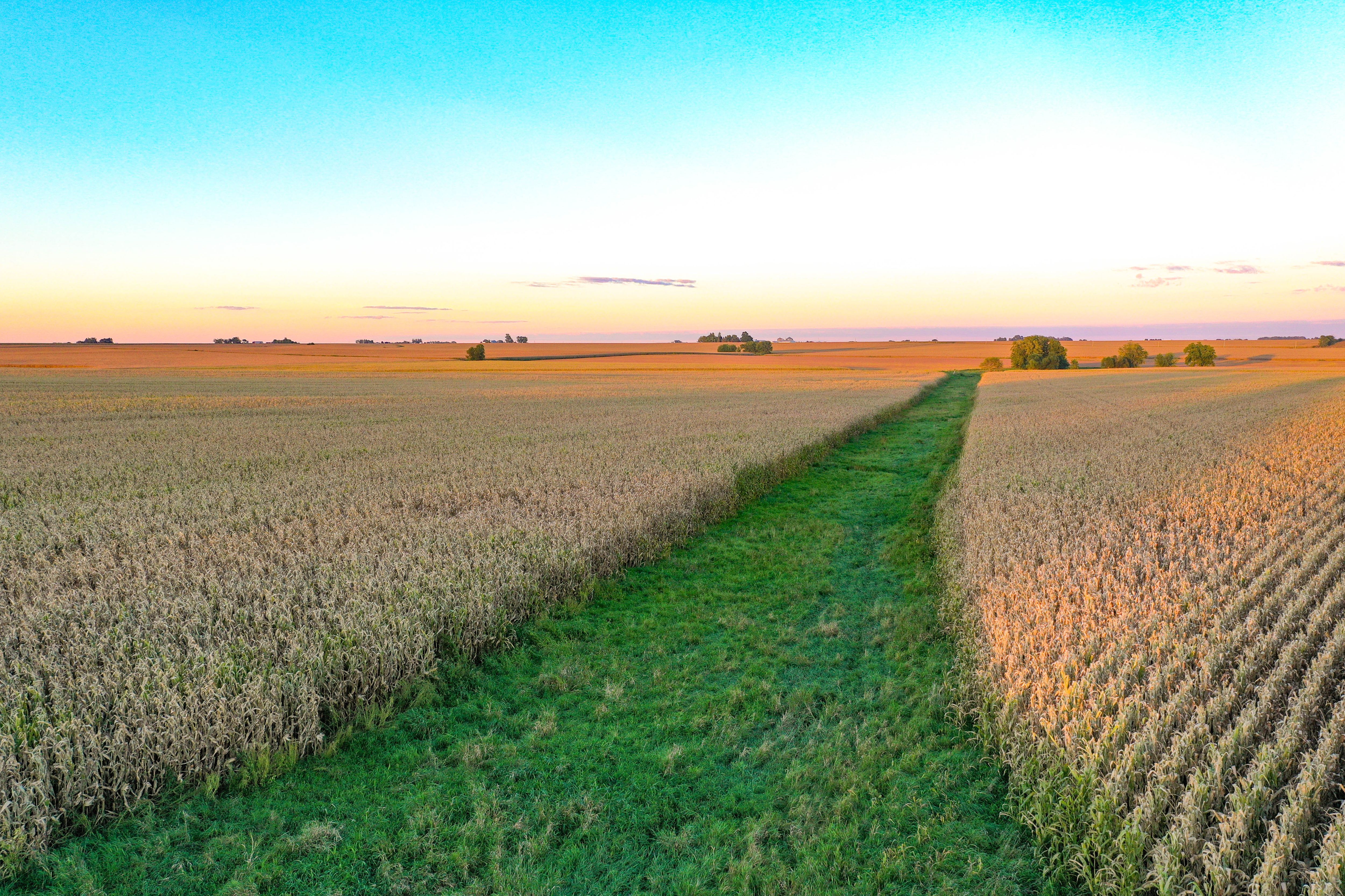 Listing Photo: 32-Northern Iowa Farmland Auction